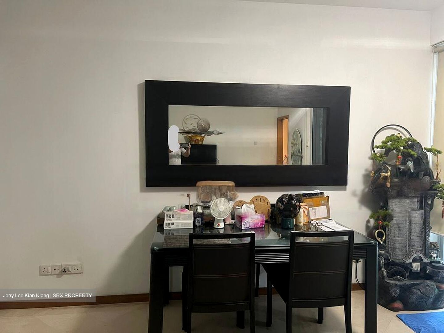 8 @ Mount Sophia (D9), Condominium #441639031